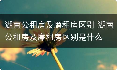 湖南公租房及廉租房区别 湖南公租房及廉租房区别是什么