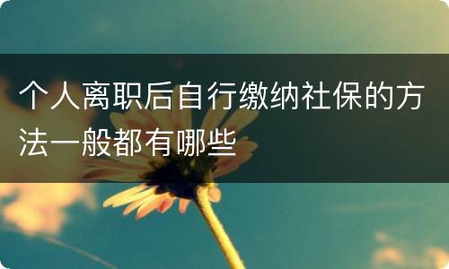 个人离职后自行缴纳社保的方法一般都有哪些