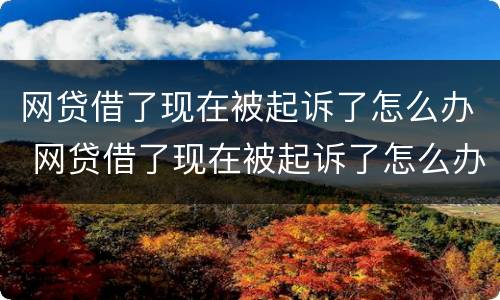 网贷借了现在被起诉了怎么办 网贷借了现在被起诉了怎么办呢
