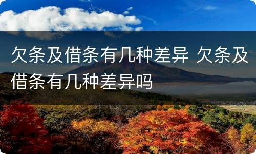 欠条及借条有几种差异 欠条及借条有几种差异吗