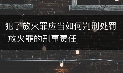 犯了放火罪应当如何判刑处罚 放火罪的刑事责任