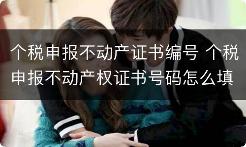 个税申报不动产证书编号 个税申报不动产权证书号码怎么填