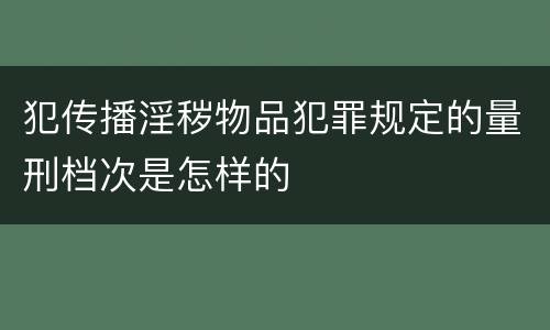 犯传播淫秽物品犯罪规定的量刑档次是怎样的