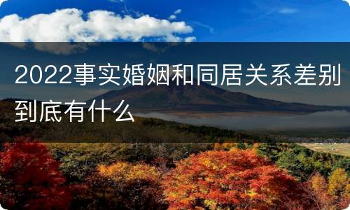 2022事实婚姻和同居关系差别到底有什么