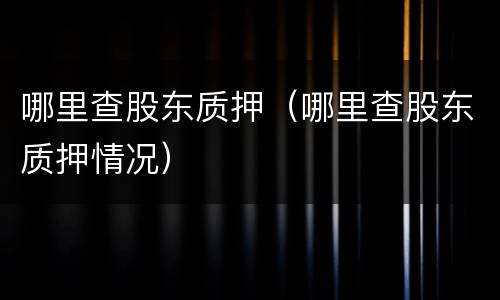 哪里查股东质押（哪里查股东质押情况）