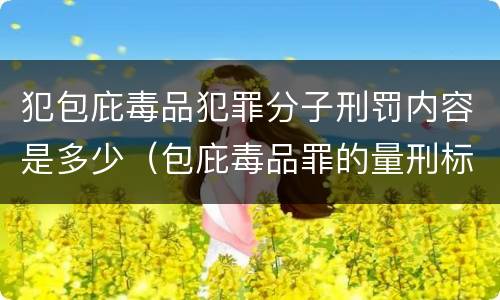 犯包庇毒品犯罪分子刑罚内容是多少（包庇毒品罪的量刑标准）