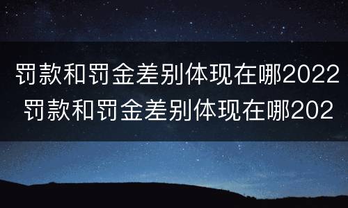 罚款和罚金差别体现在哪2022 罚款和罚金差别体现在哪2022年