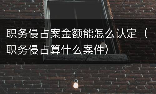 职务侵占案金额能怎么认定（职务侵占算什么案件）