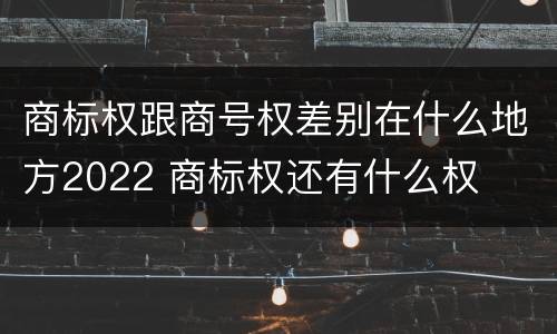 商标权跟商号权差别在什么地方2022 商标权还有什么权