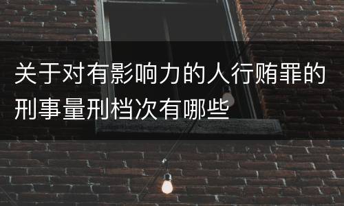 关于对有影响力的人行贿罪的刑事量刑档次有哪些