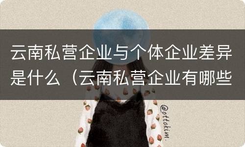 云南私营企业与个体企业差异是什么（云南私营企业有哪些）
