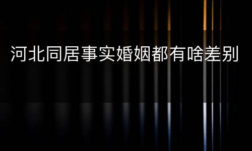 河北同居事实婚姻都有啥差别