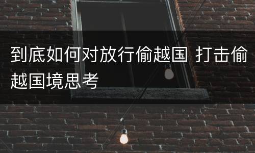 到底如何对放行偷越国 打击偷越国境思考