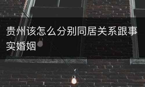 贵州该怎么分别同居关系跟事实婚姻