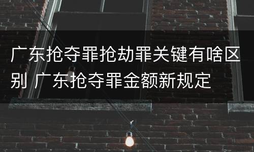 广东抢夺罪抢劫罪关键有啥区别 广东抢夺罪金额新规定