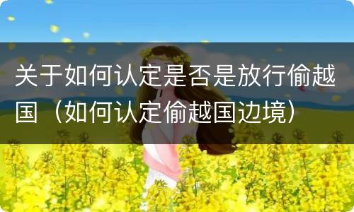 关于如何认定是否是放行偷越国（如何认定偷越国边境）