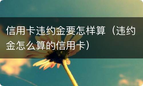 信用卡违约金要怎样算（违约金怎么算的信用卡）