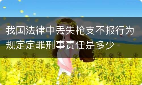 我国法律中丢失枪支不报行为规定定罪刑事责任是多少