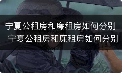 宁夏公租房和廉租房如何分别 宁夏公租房和廉租房如何分别出租