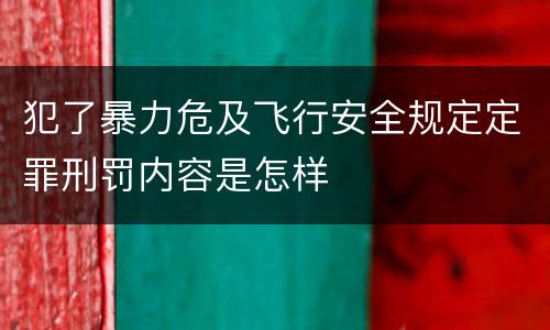 犯了暴力危及飞行安全规定定罪刑罚内容是怎样