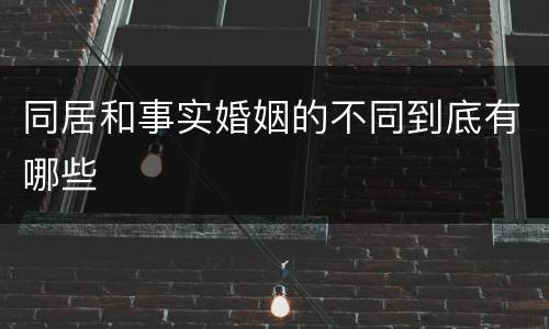 同居和事实婚姻的不同到底有哪些