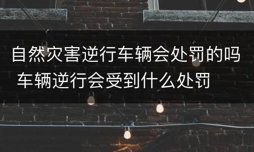 自然灾害逆行车辆会处罚的吗 车辆逆行会受到什么处罚