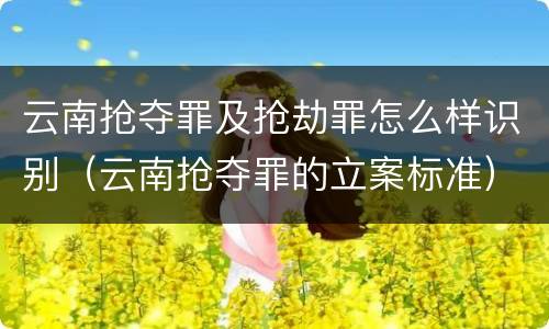 云南抢夺罪及抢劫罪怎么样识别（云南抢夺罪的立案标准）