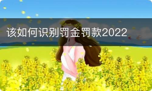 该如何识别罚金罚款2022
