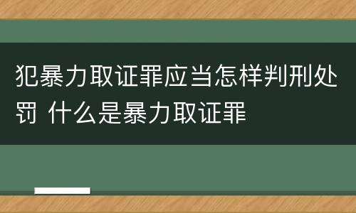 犯暴力取证罪应当怎样判刑处罚 什么是暴力取证罪