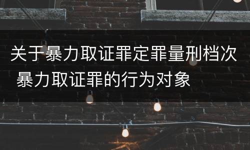 关于暴力取证罪定罪量刑档次 暴力取证罪的行为对象
