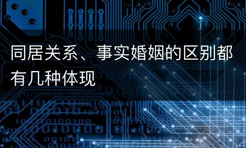 同居关系、事实婚姻的区别都有几种体现
