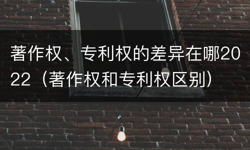 著作权、专利权的差异在哪2022（著作权和专利权区别）
