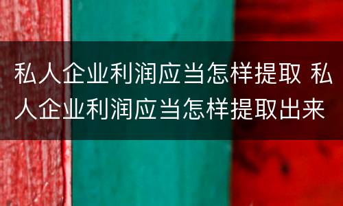 私人企业利润应当怎样提取 私人企业利润应当怎样提取出来