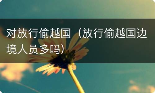 对放行偷越国（放行偷越国边境人员多吗）