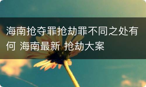 海南抢夺罪抢劫罪不同之处有何 海南最新 抢劫大案