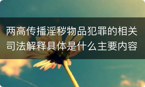 两高传播淫秽物品犯罪的相关司法解释具体是什么主要内容