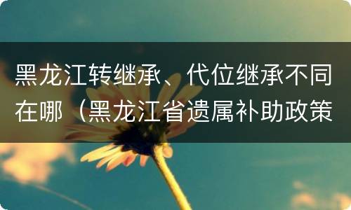 黑龙江转继承、代位继承不同在哪（黑龙江省遗属补助政策最新）