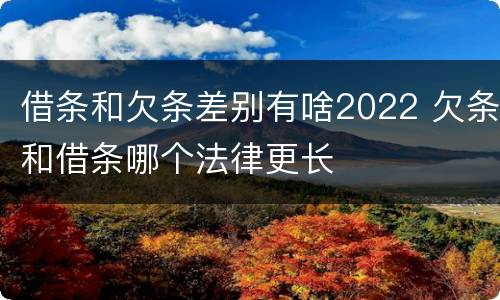 借条和欠条差别有啥2022 欠条和借条哪个法律更长
