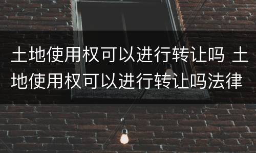 土地使用权可以进行转让吗 土地使用权可以进行转让吗法律规定