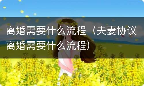 离婚需要什么流程（夫妻协议离婚需要什么流程）