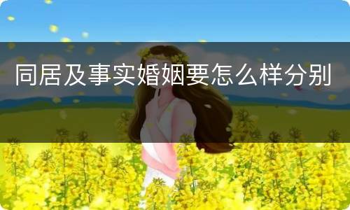 同居及事实婚姻要怎么样分别