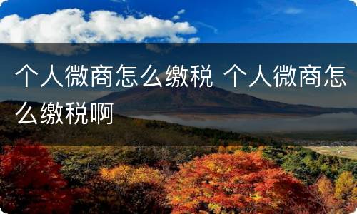 个人微商怎么缴税 个人微商怎么缴税啊