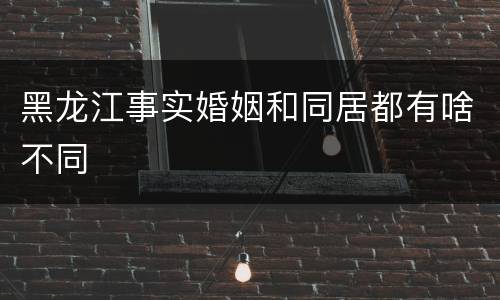 黑龙江事实婚姻和同居都有啥不同