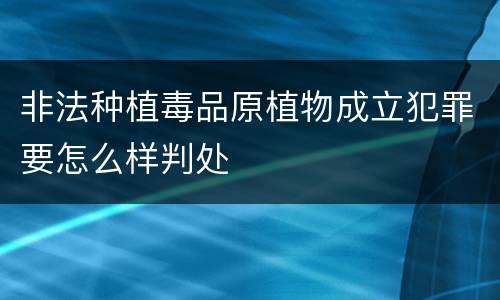 非法种植毒品原植物成立犯罪要怎么样判处
