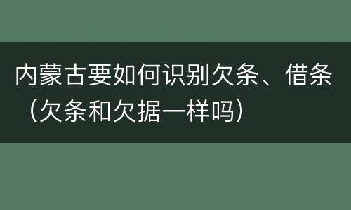 内蒙古要如何识别欠条、借条（欠条和欠据一样吗）