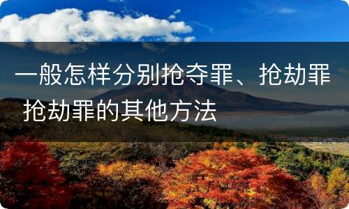 一般怎样分别抢夺罪、抢劫罪 抢劫罪的其他方法