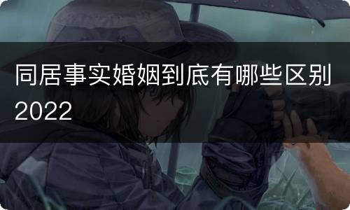同居事实婚姻到底有哪些区别2022
