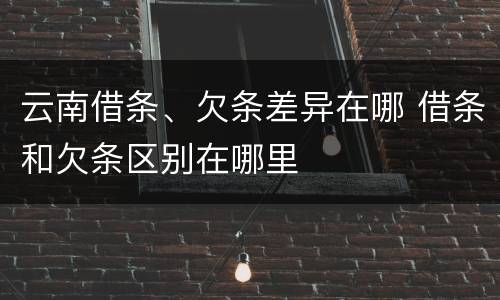 云南借条、欠条差异在哪 借条和欠条区别在哪里
