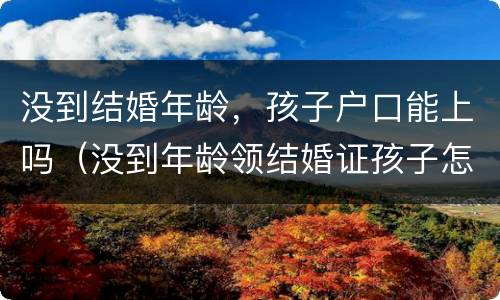 没到结婚年龄，孩子户口能上吗（没到年龄领结婚证孩子怎么上户口）