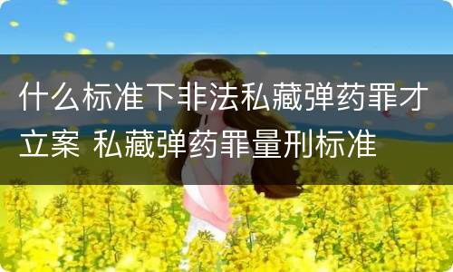 什么标准下非法私藏弹药罪才立案 私藏弹药罪量刑标准